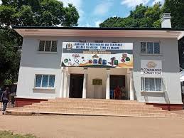 Soko la Madini Arusha